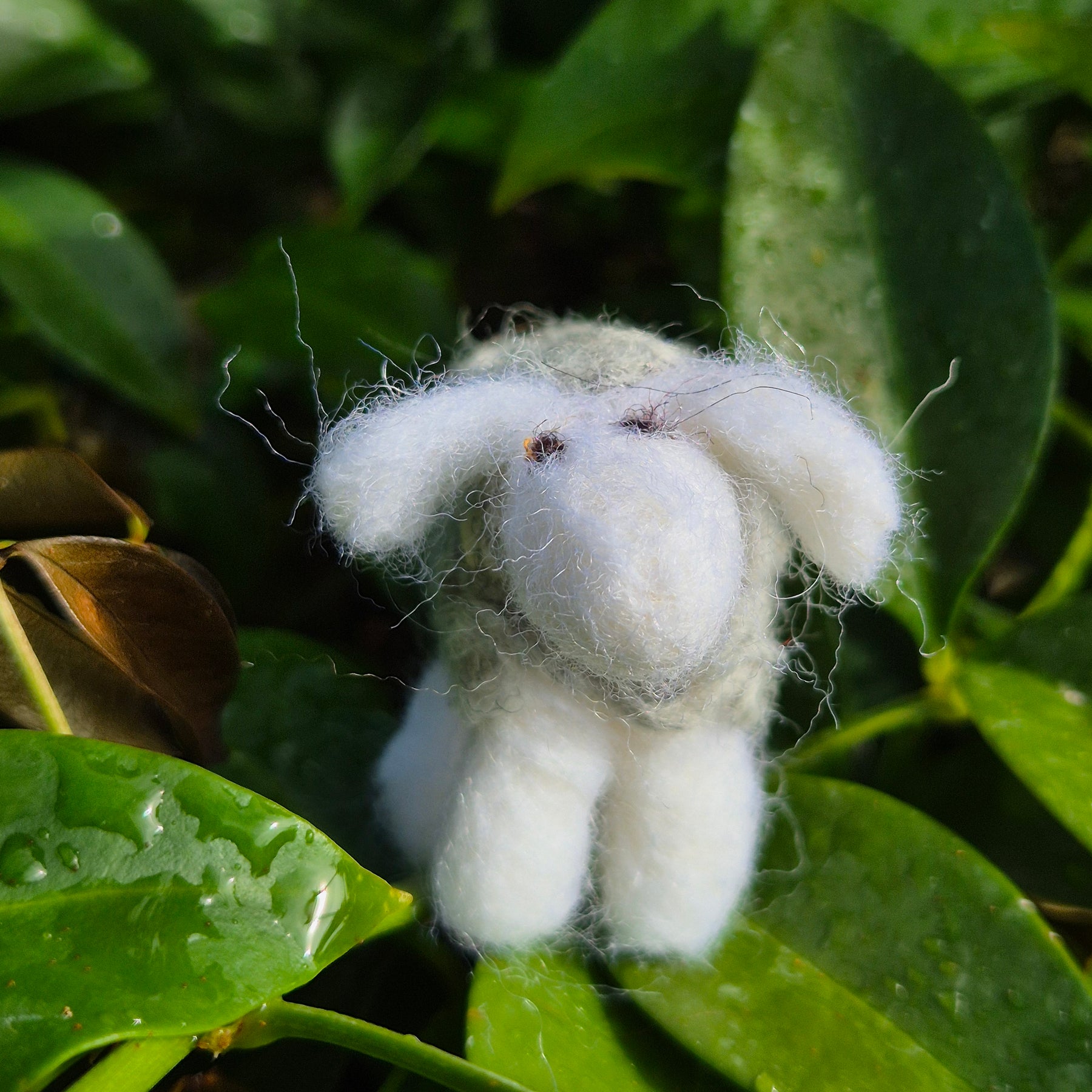 Needle Felted Sheep