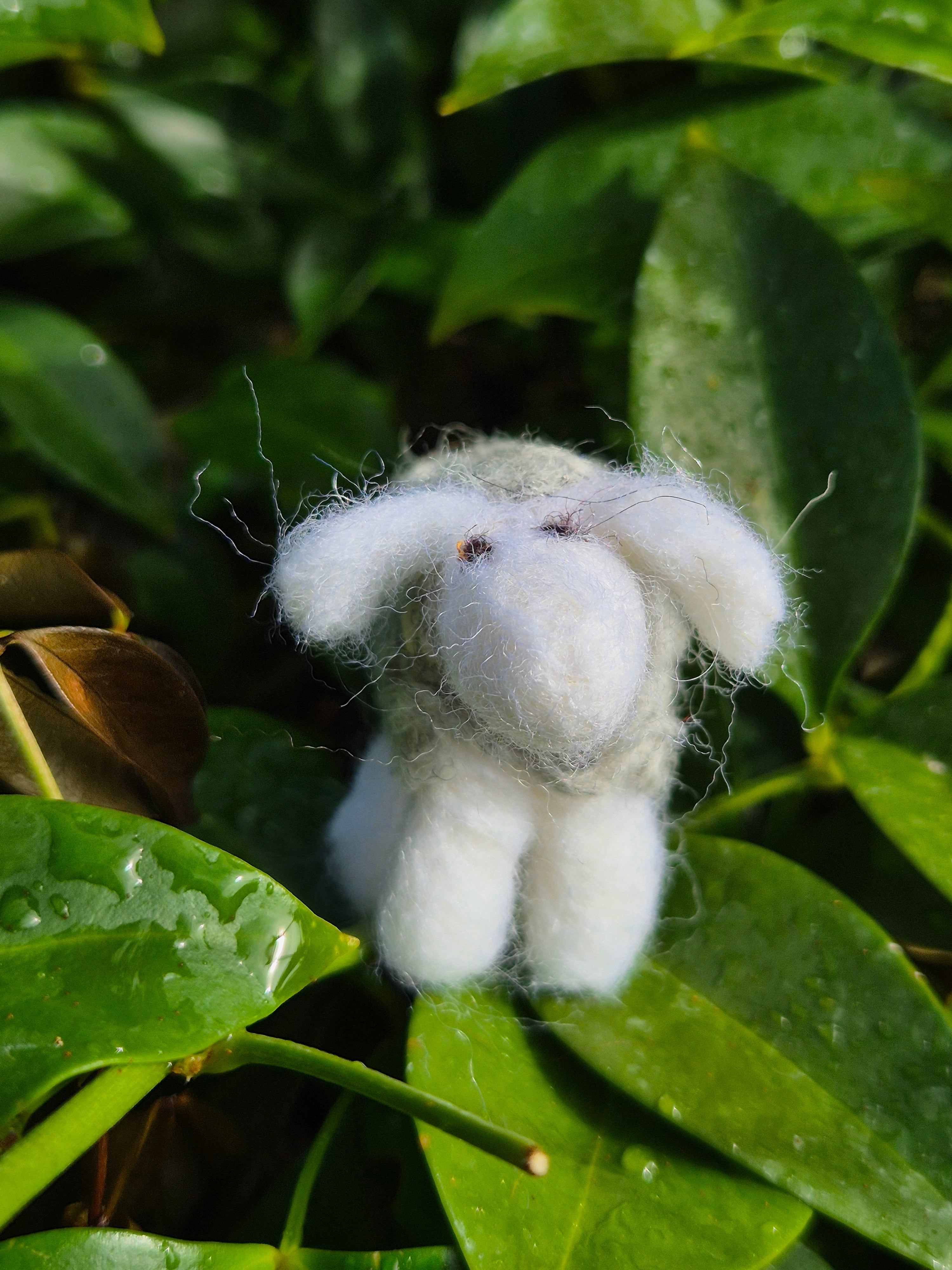 Needle Felted Sheep