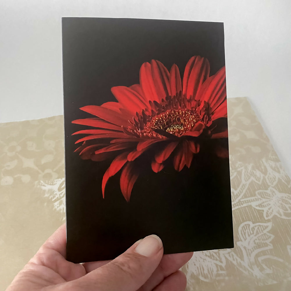red gerbera daisy greeting card