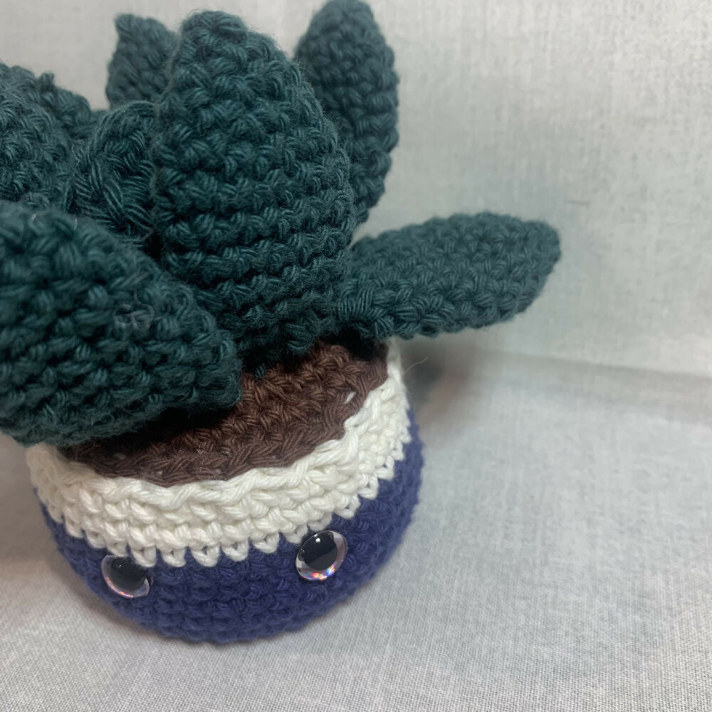 Crochet succulent plant