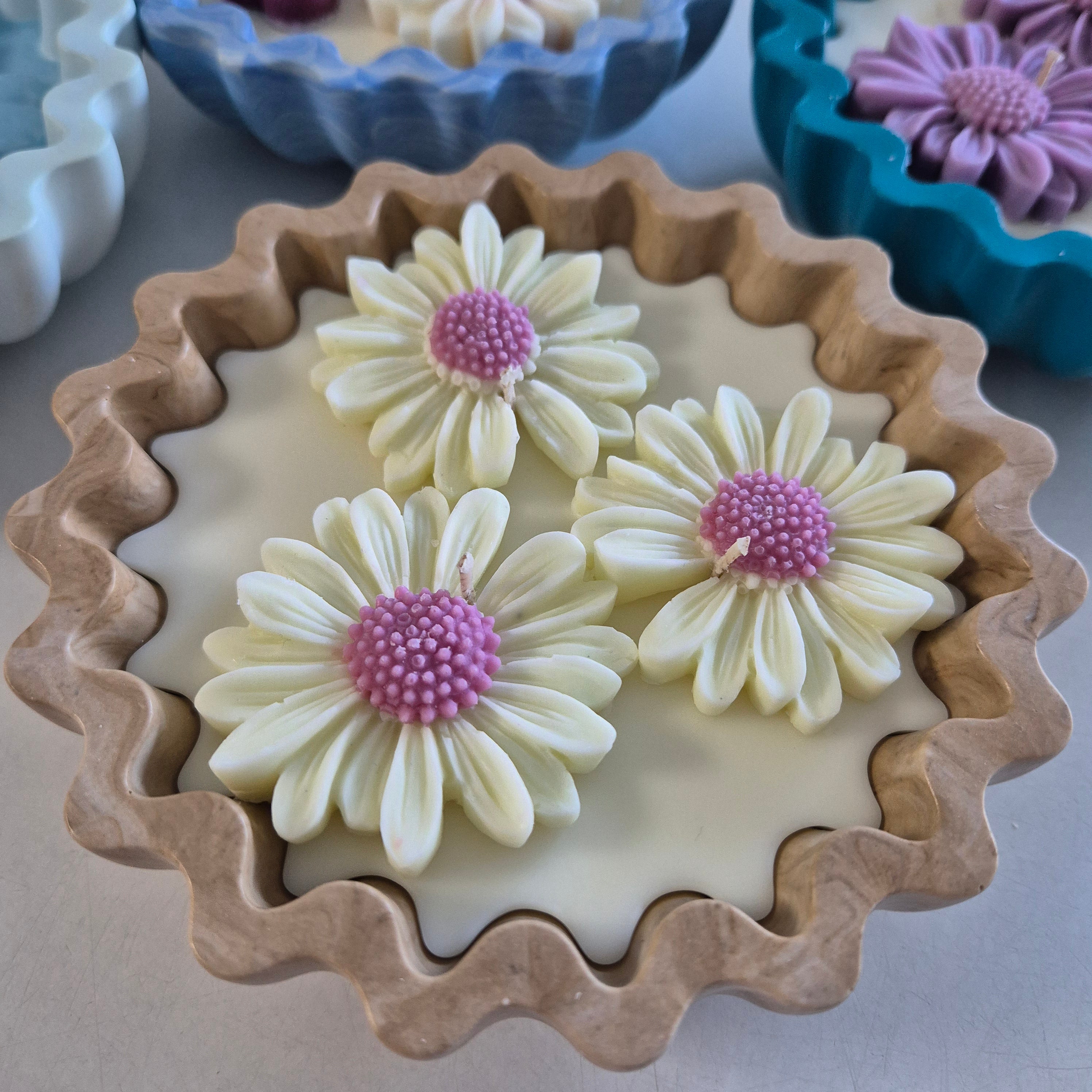 Eco-concrete daisy bowl candle with rose and lavender