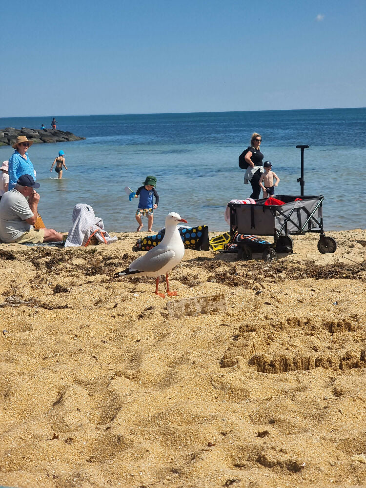 Nature-Exploring-Beach (24)