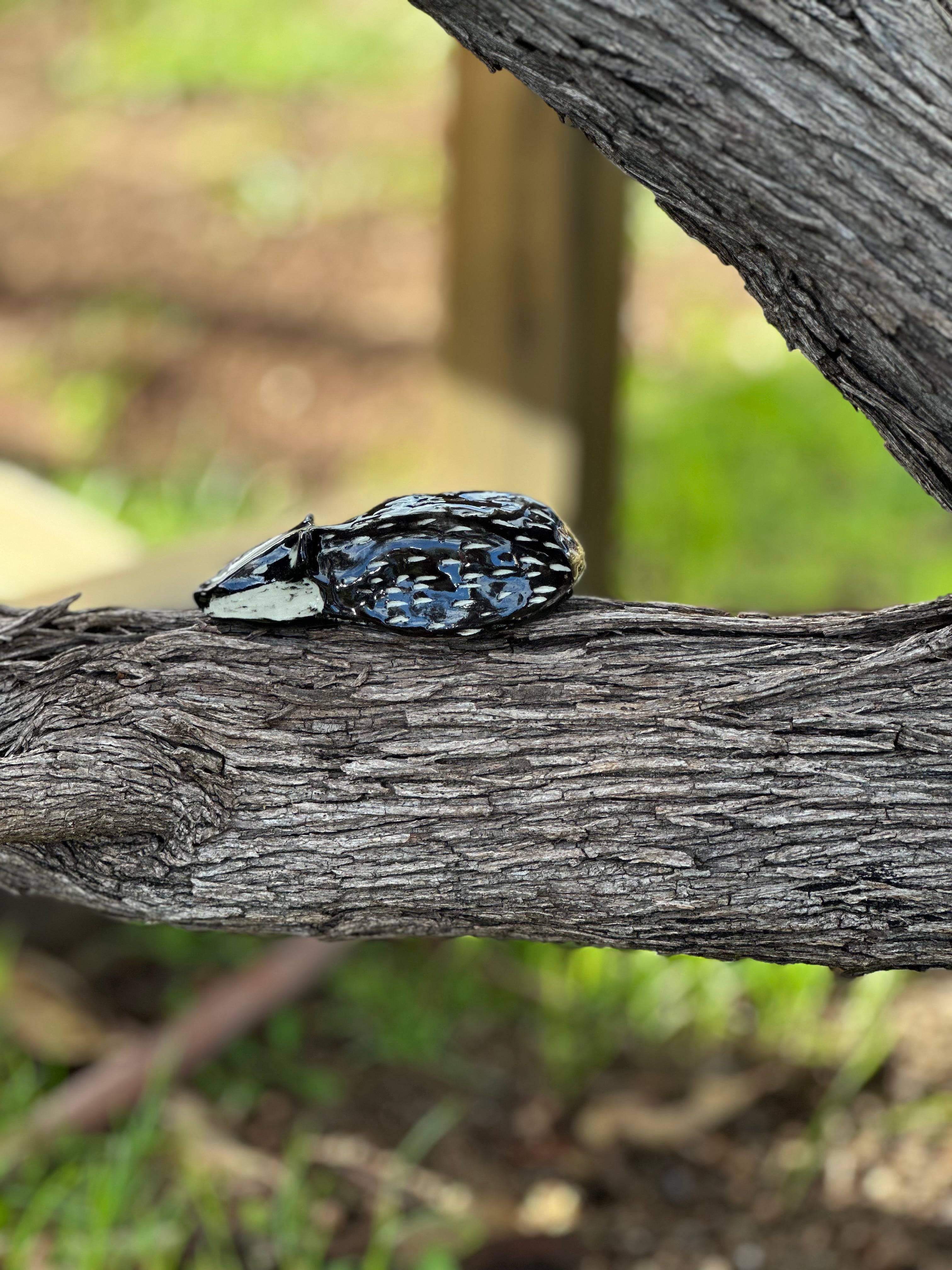 Badger - Black - Australian handmade clay keepsake
