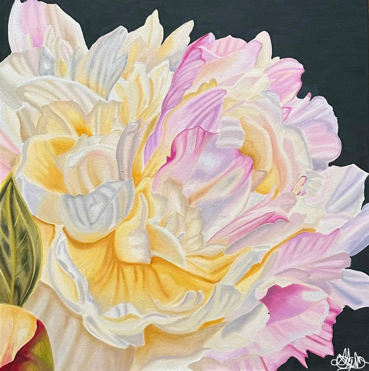 "Fleur De Grace" - Peony - Original Oil Painting - Hand Painted