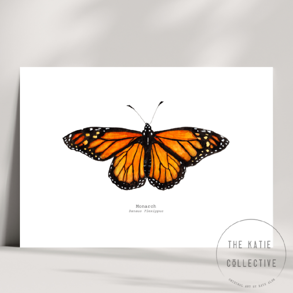the katie collective - monarch butterfly