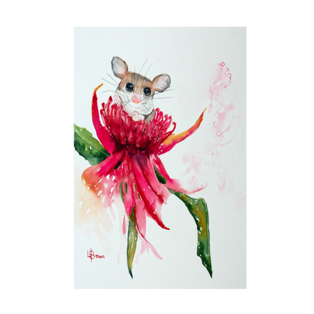 Pygmy Possum A3 Fine Art Print