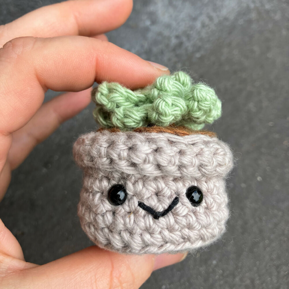 Crochet Succulent and Cacti Trio of Buddies