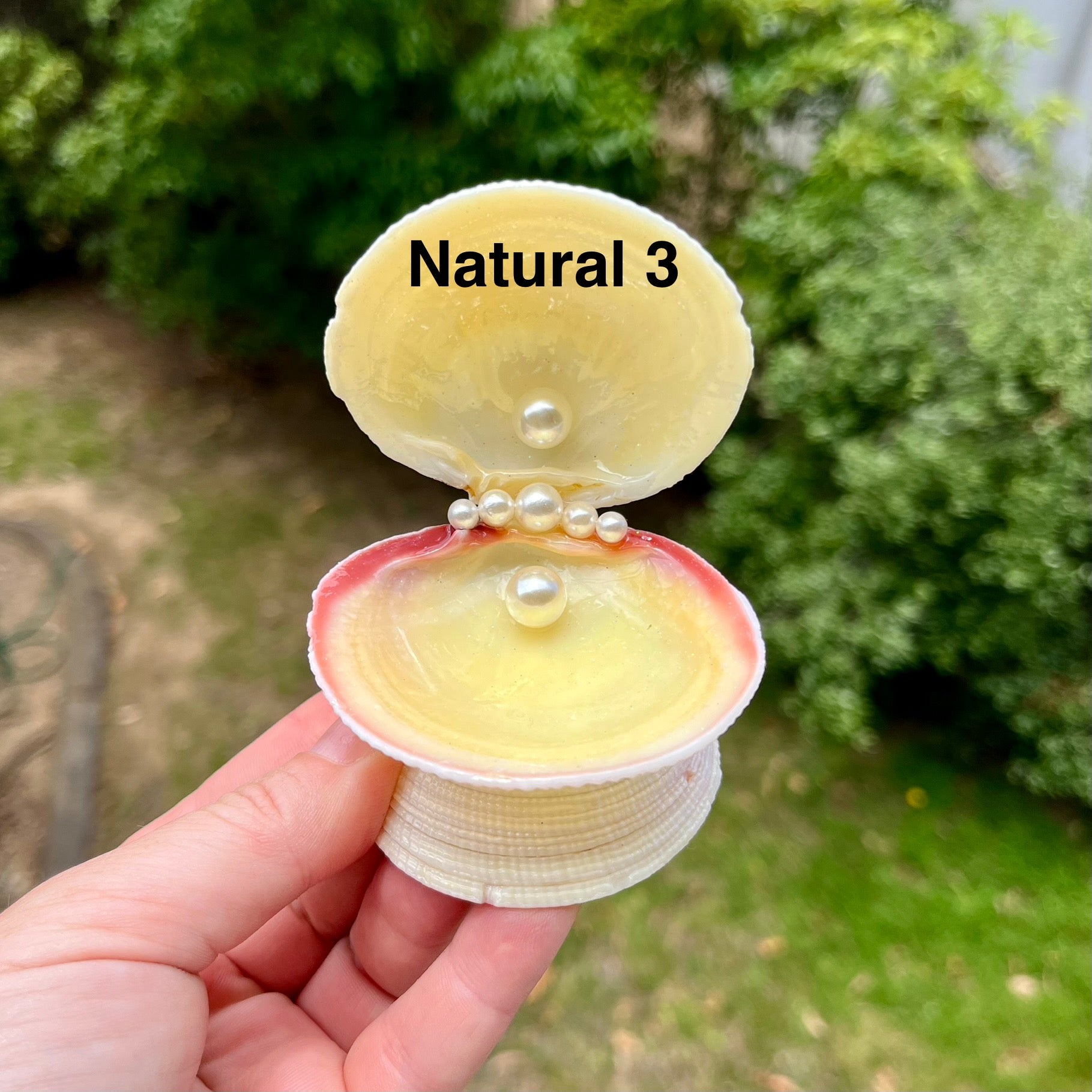 Sweet & Pearly Trinket Trays