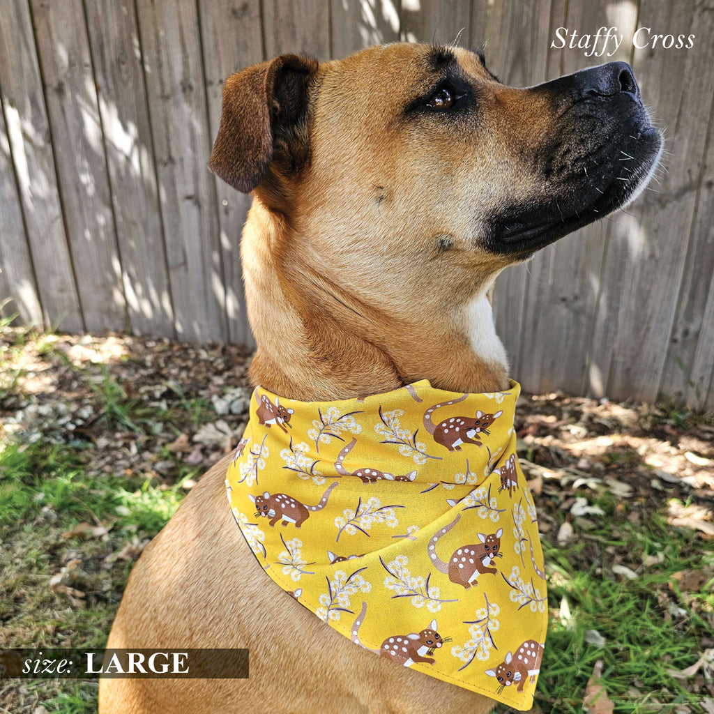 Spotted Quoll Bandana