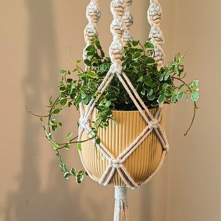 Macrame Plant Hanger - Ava