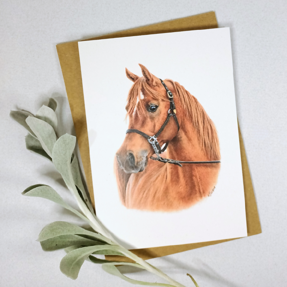 Australian-artist-greeting-card-arabian-horse-front