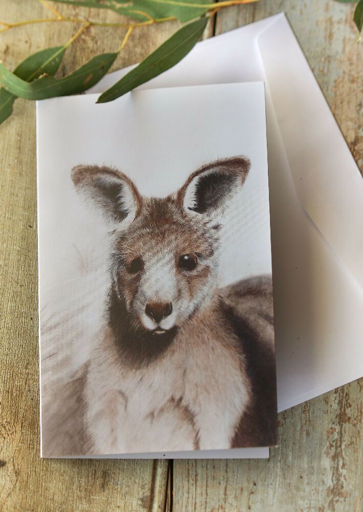 animal greeting card, kangaroo