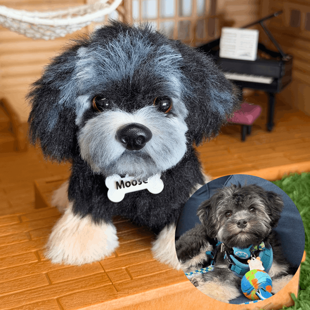 Custom Dog Replica from Photo, Poseable Art Doll, Pet Memorial Keepsake - Handmade Soft Sculpture, Personalised Plushie Ornament
