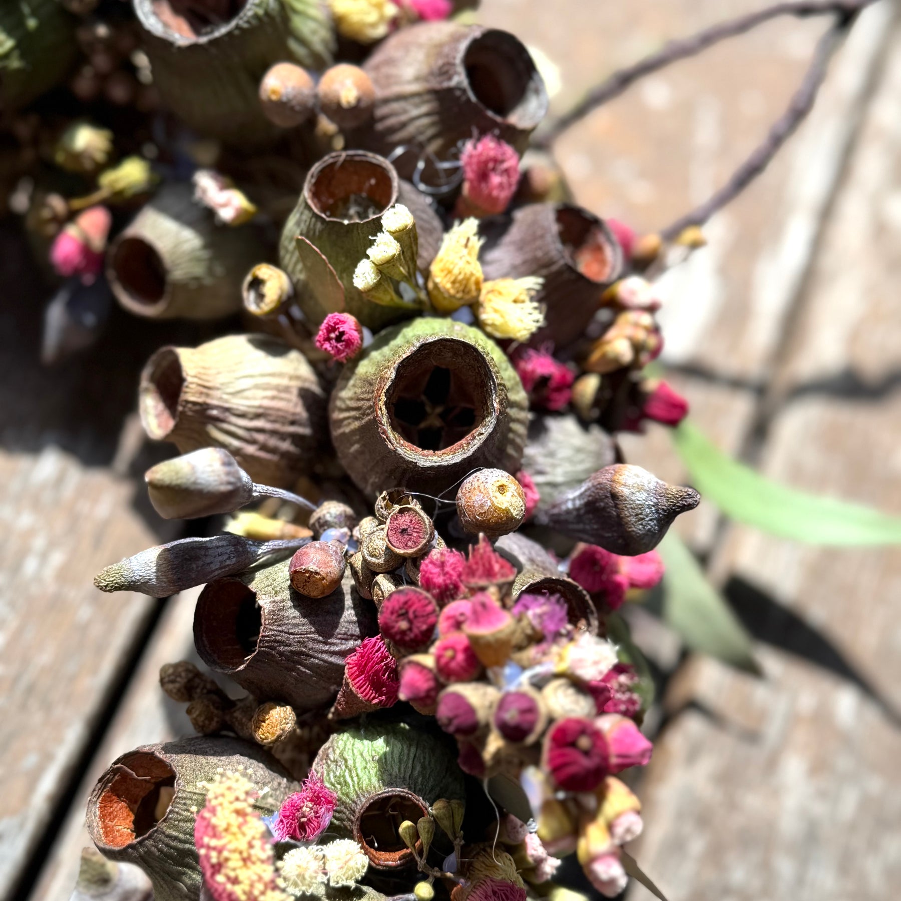 Australian Gumnut Wreath | Handmade Native Floral Wreath | Dried Eucalyptus & Gumnut Decor | Rustic Botanical Door Wreath | bushland Jewels