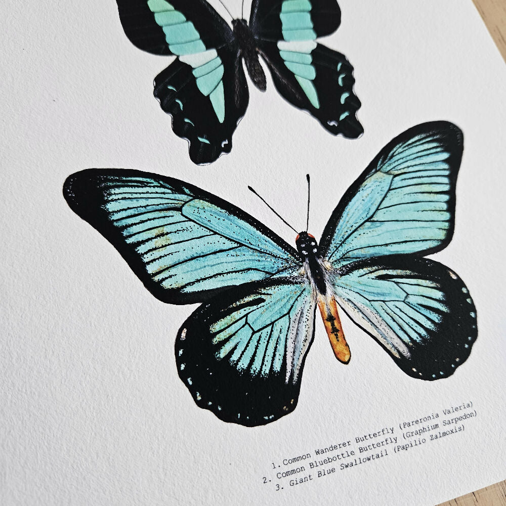 Watercolour Art Print - The Insect Series - 'Turquoise Butterfly Trio'