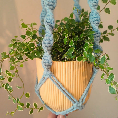 Macrame Plant Hanger - Blue