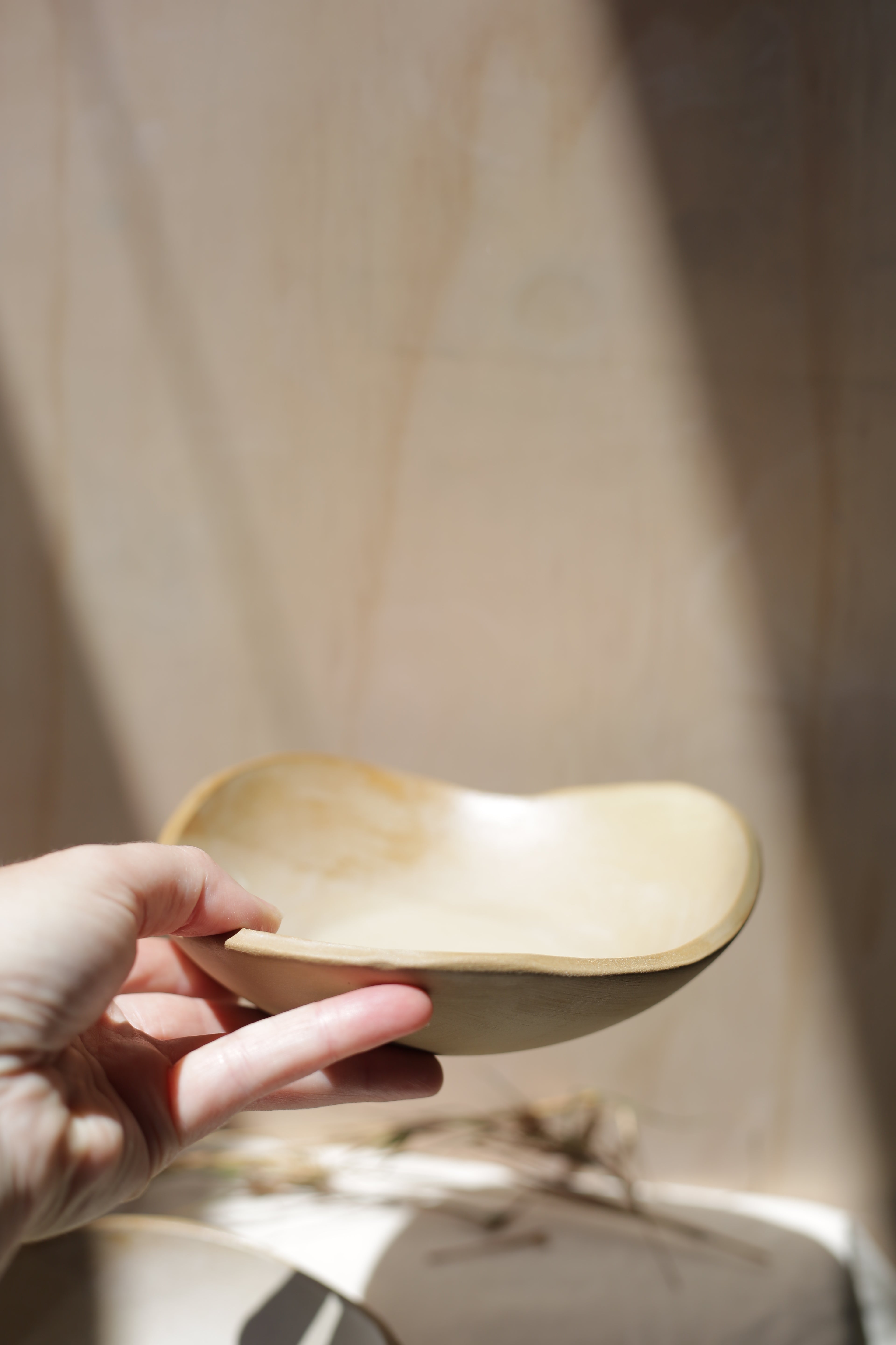 Odd Bowl