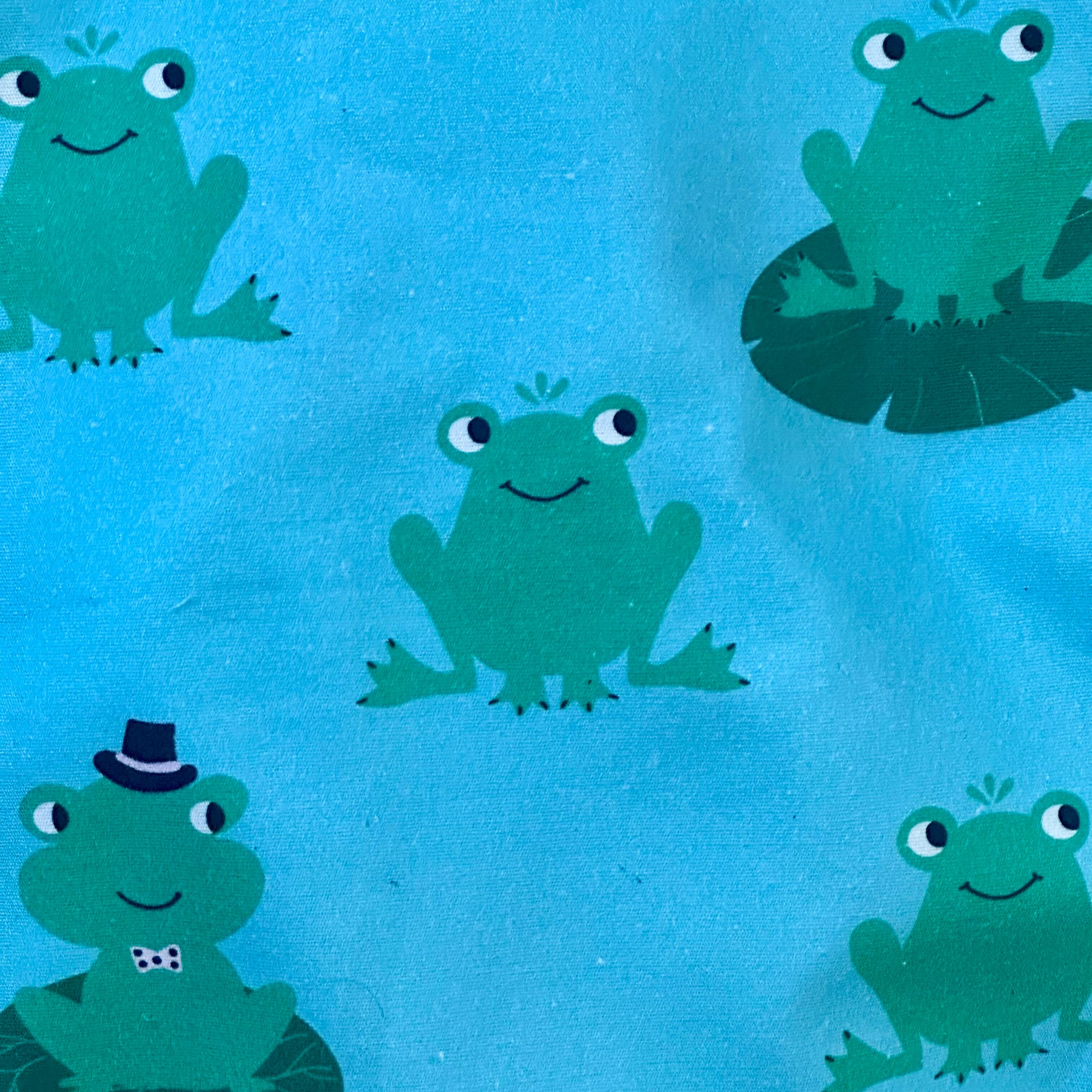 Frogs Handmade Overalls | Adventure Collection