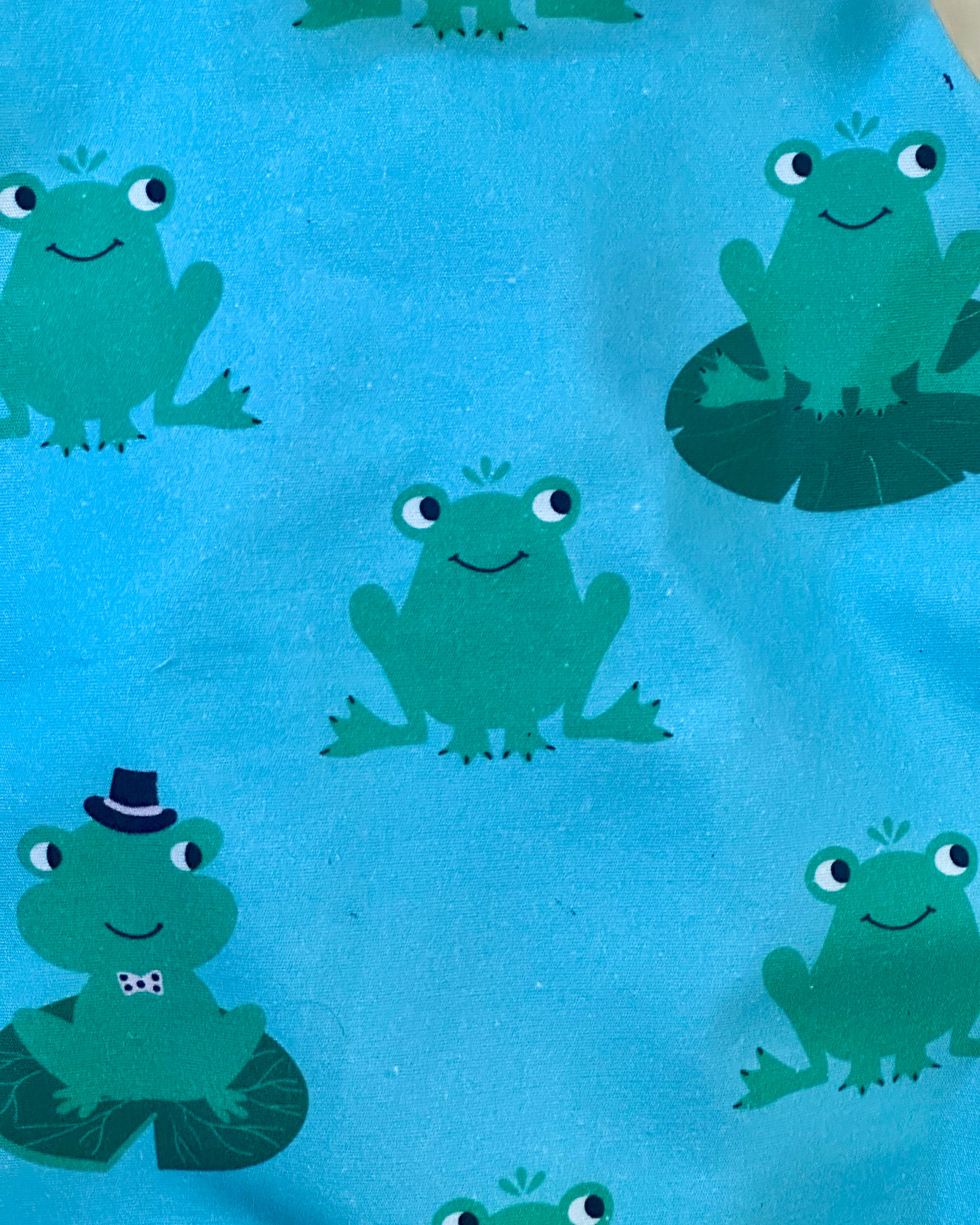 Frogs Handmade Overalls | Adventure Collection