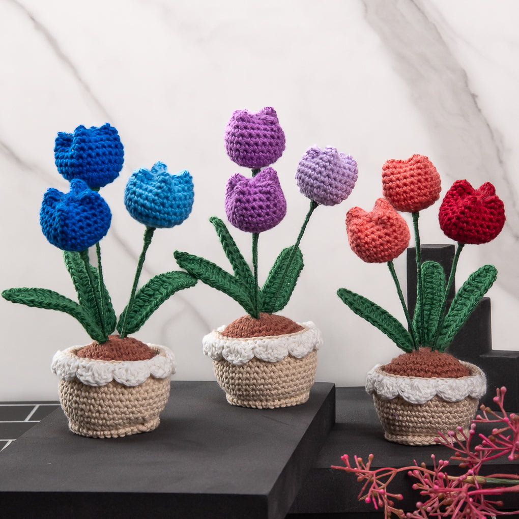 Mini Crocheted Flower Pots
