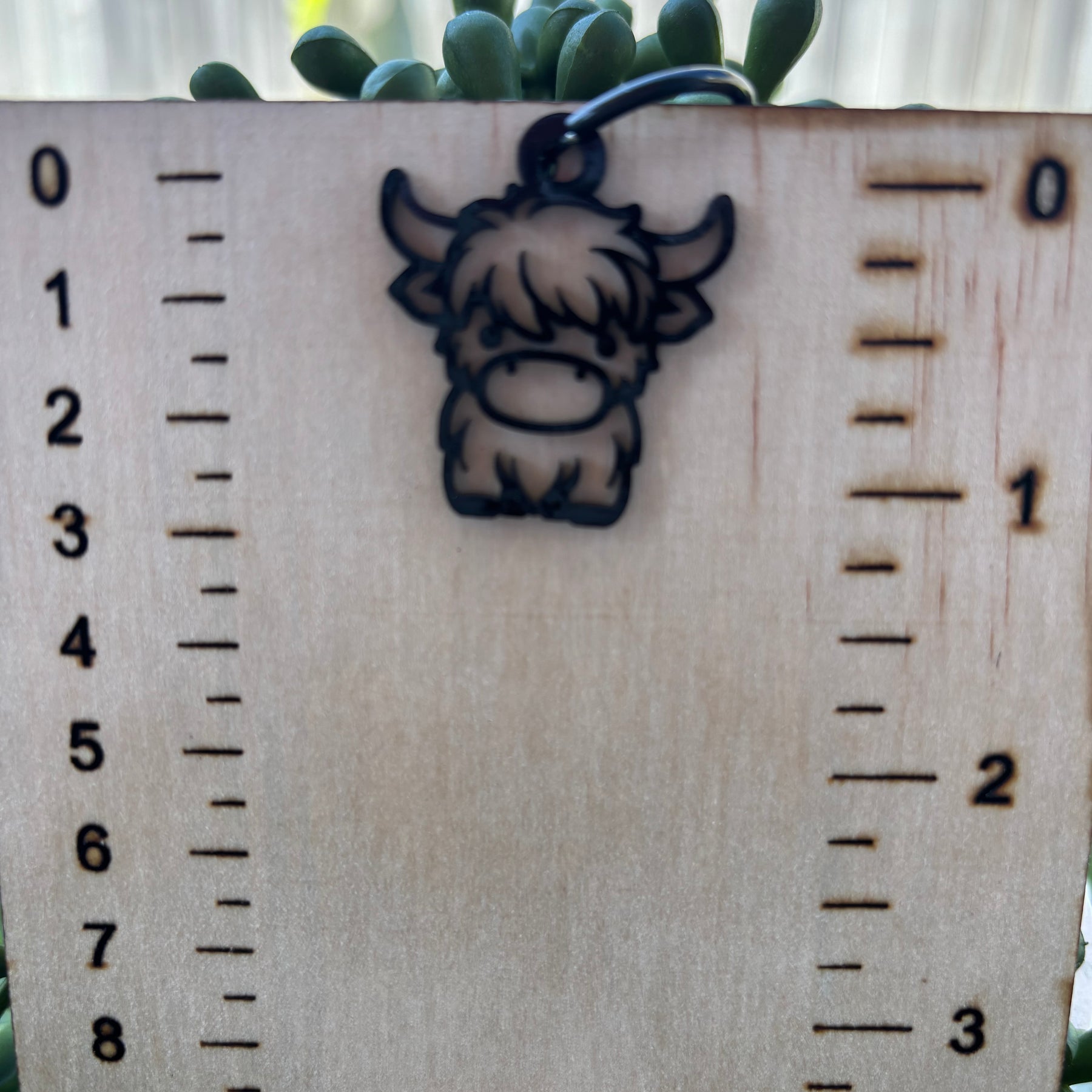 Cow dangle