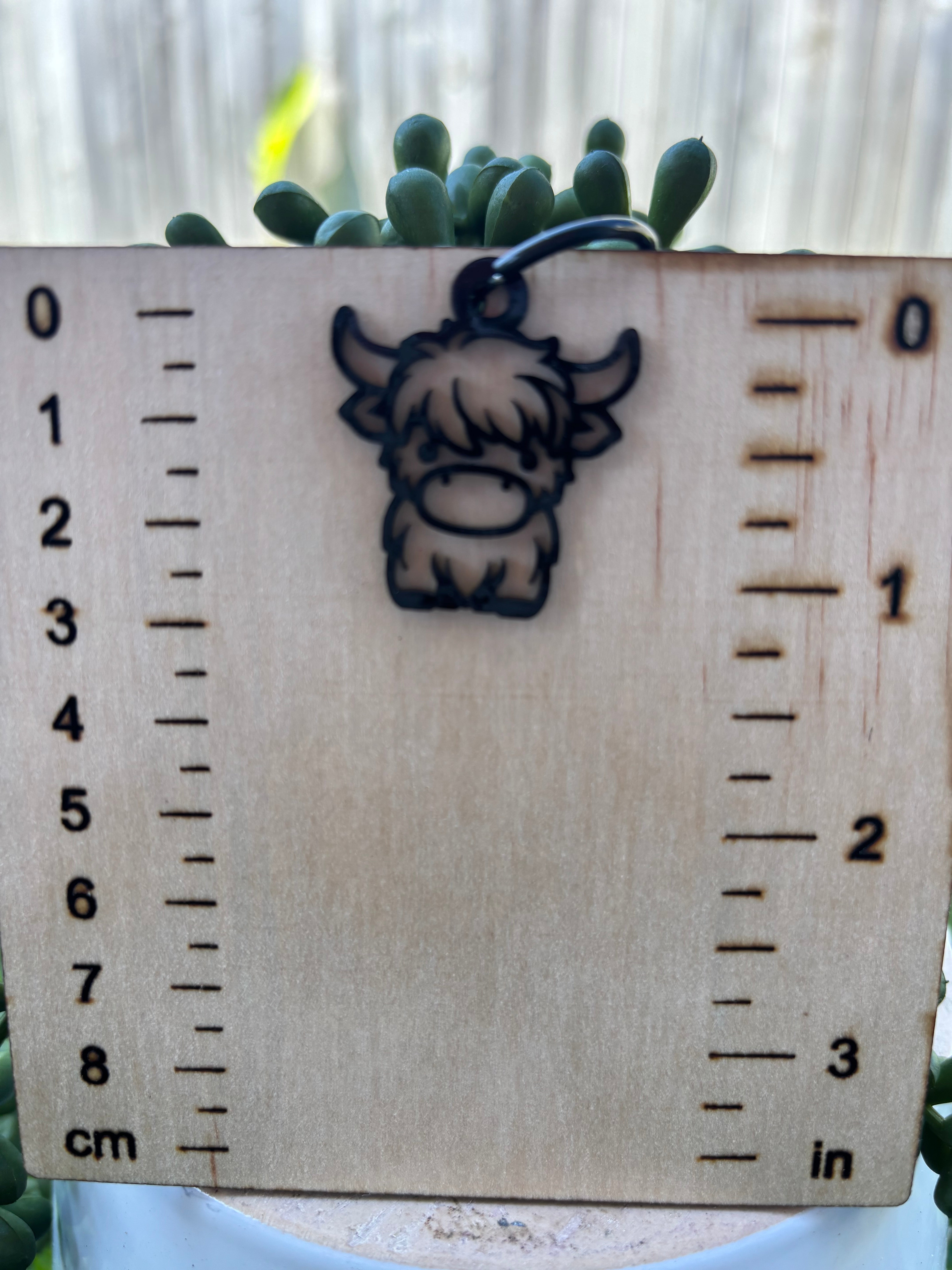 Cow dangle