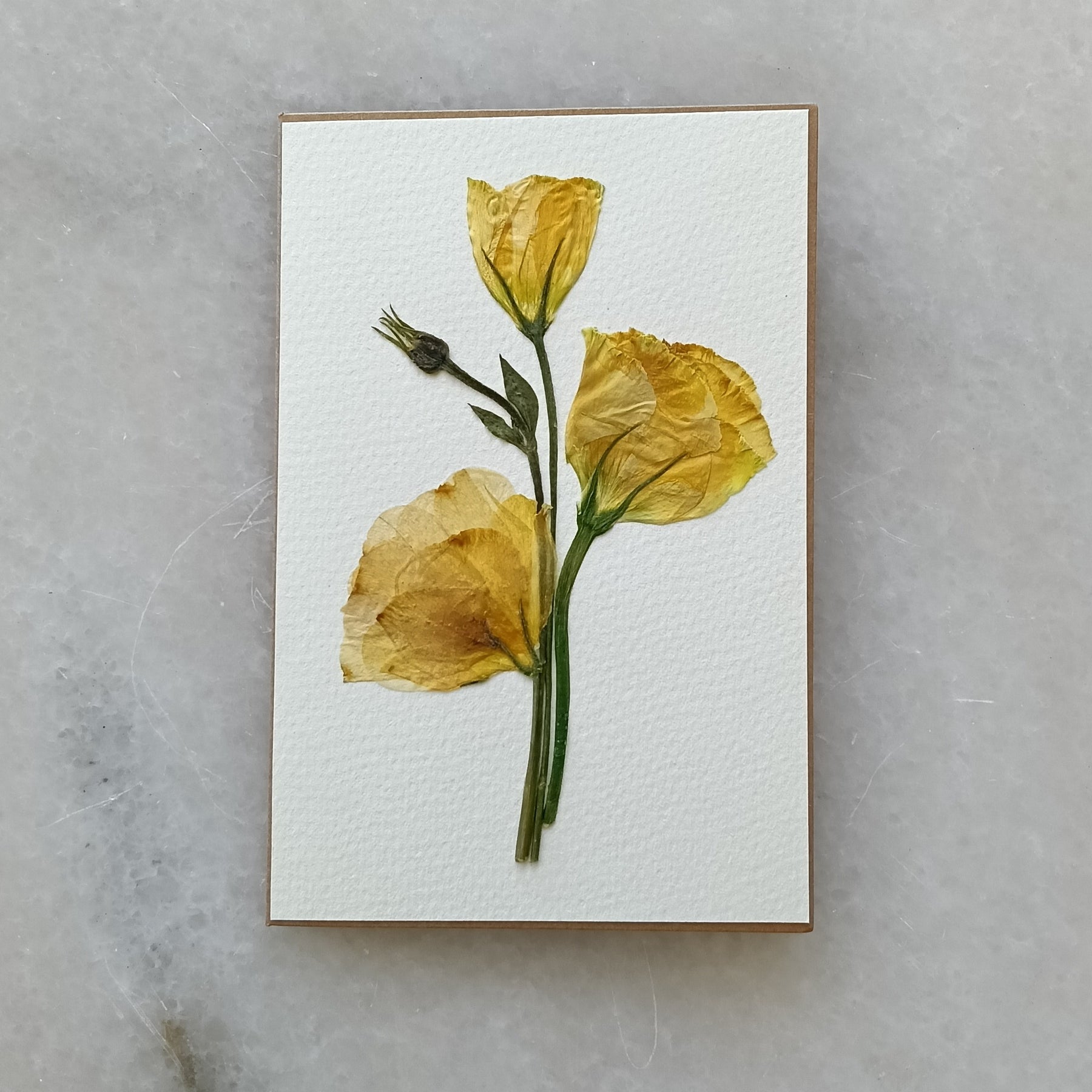 Simply Lissy | Pressed Flower Handmade Card