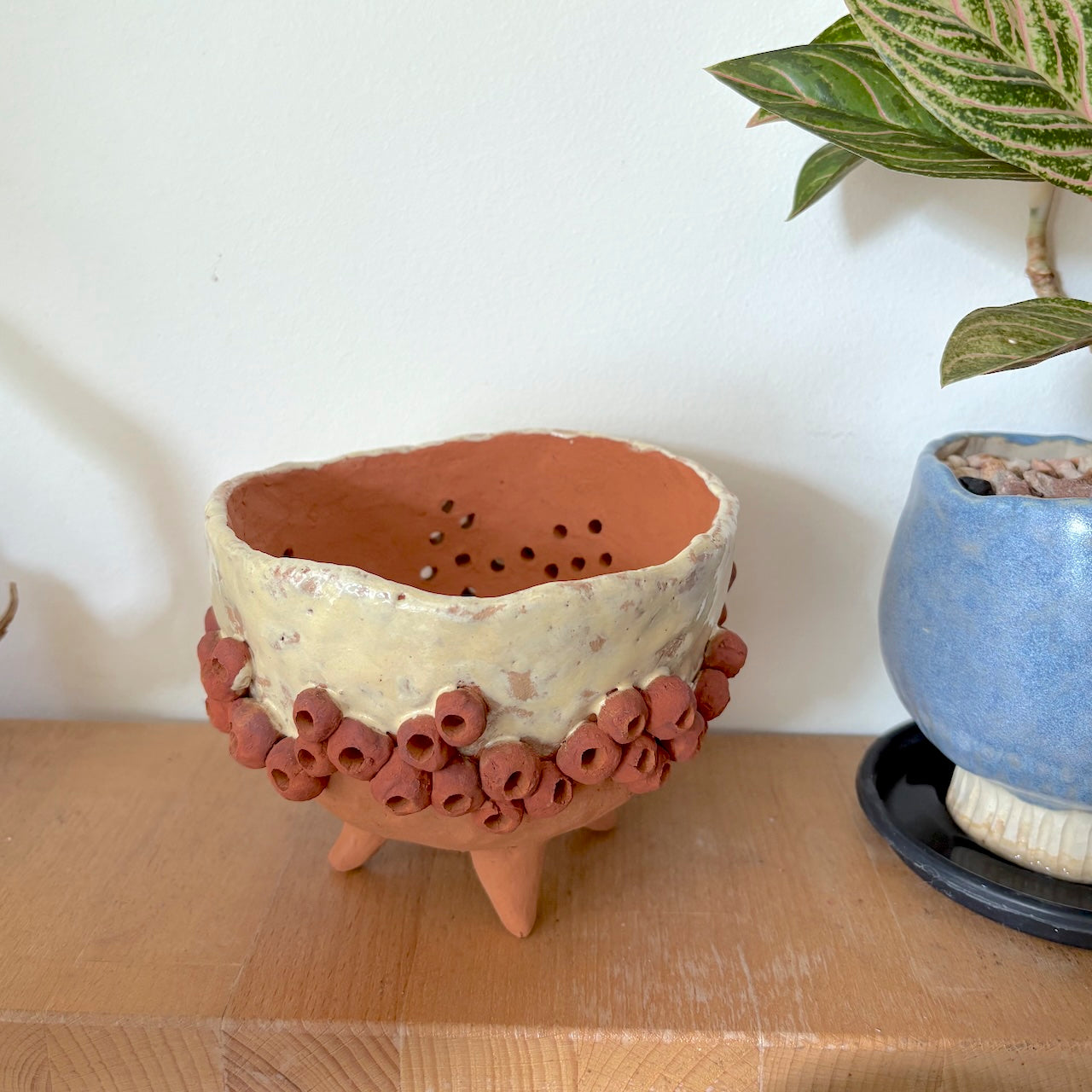 Ceramic gumnut orchid pot