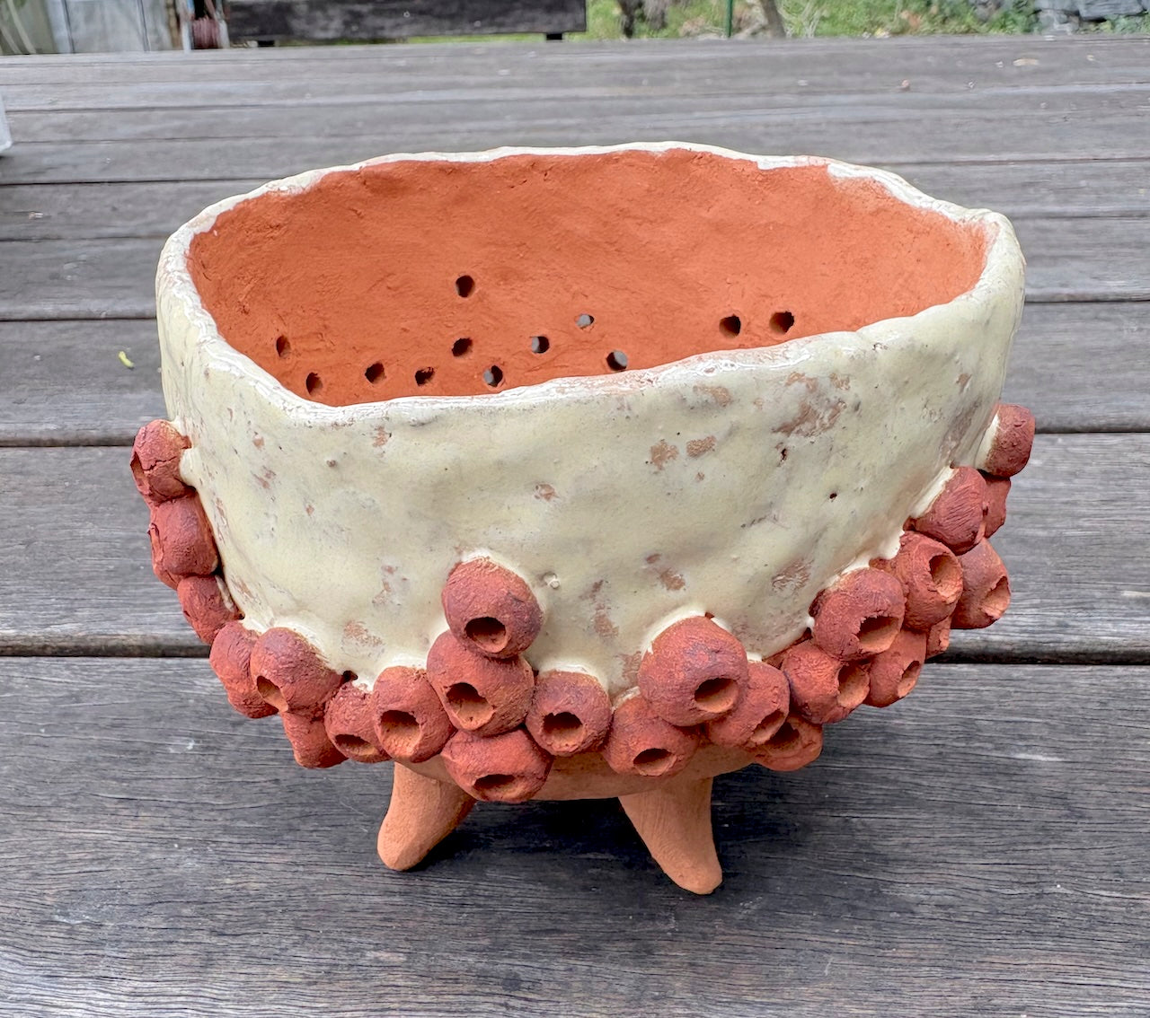 Ceramic gumnut orchid pot