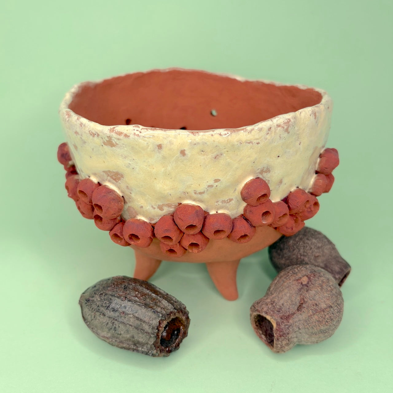 Ceramic gumnut orchid pot
