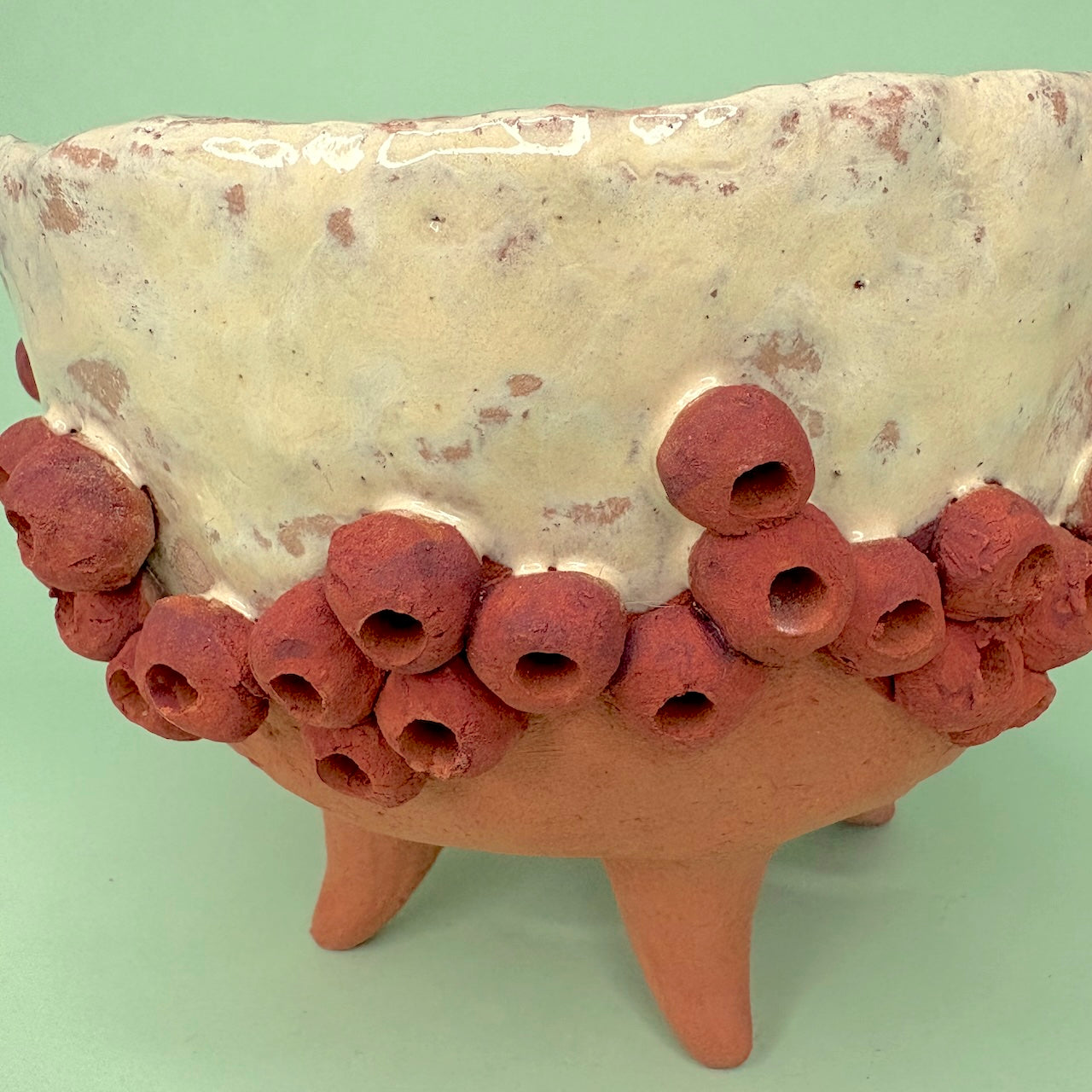 Ceramic gumnut orchid pot