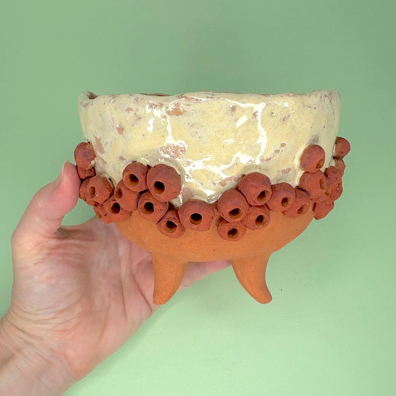 Ceramic gumnut orchid pot