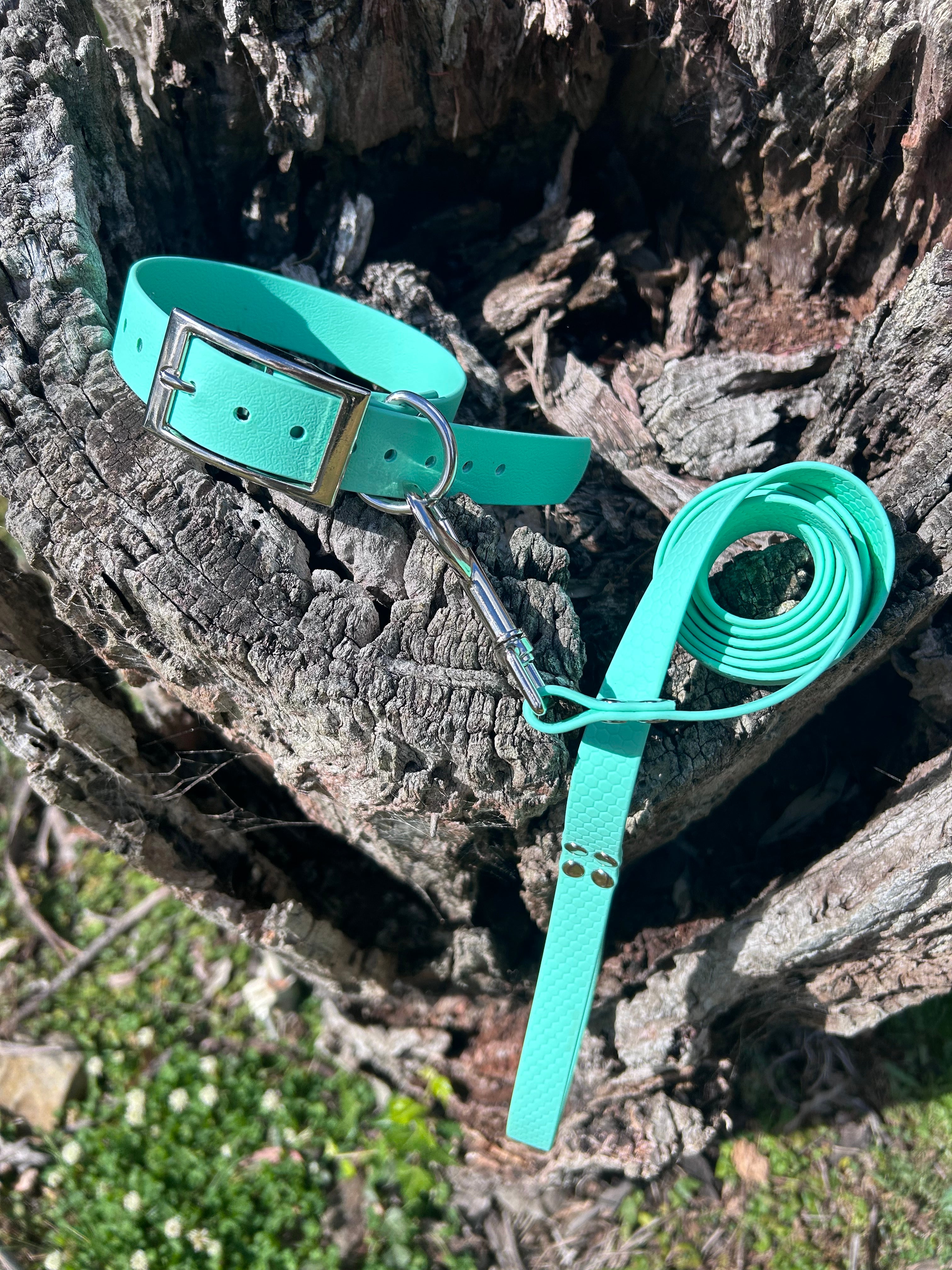 DOG COLLAR AND LEAD SET WATERPROOF BRIGHT STRONG