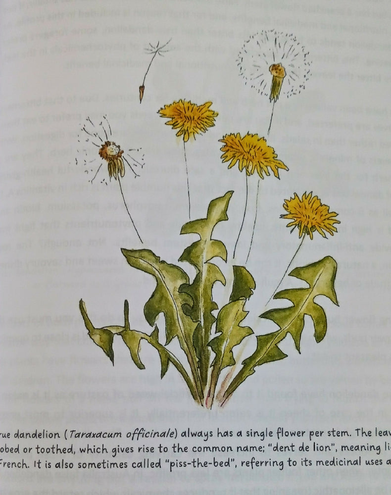 Working With Weeds, by Kate Wall. Revised Edition.