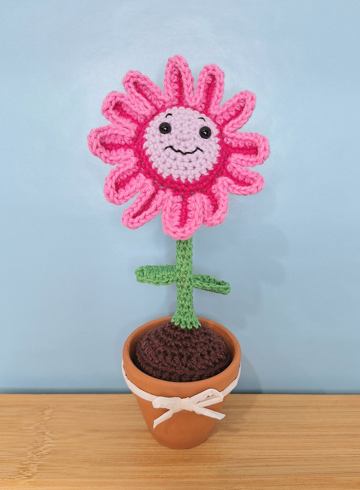 Happy Daisy Crocheted Flower in  Terracotta Pot