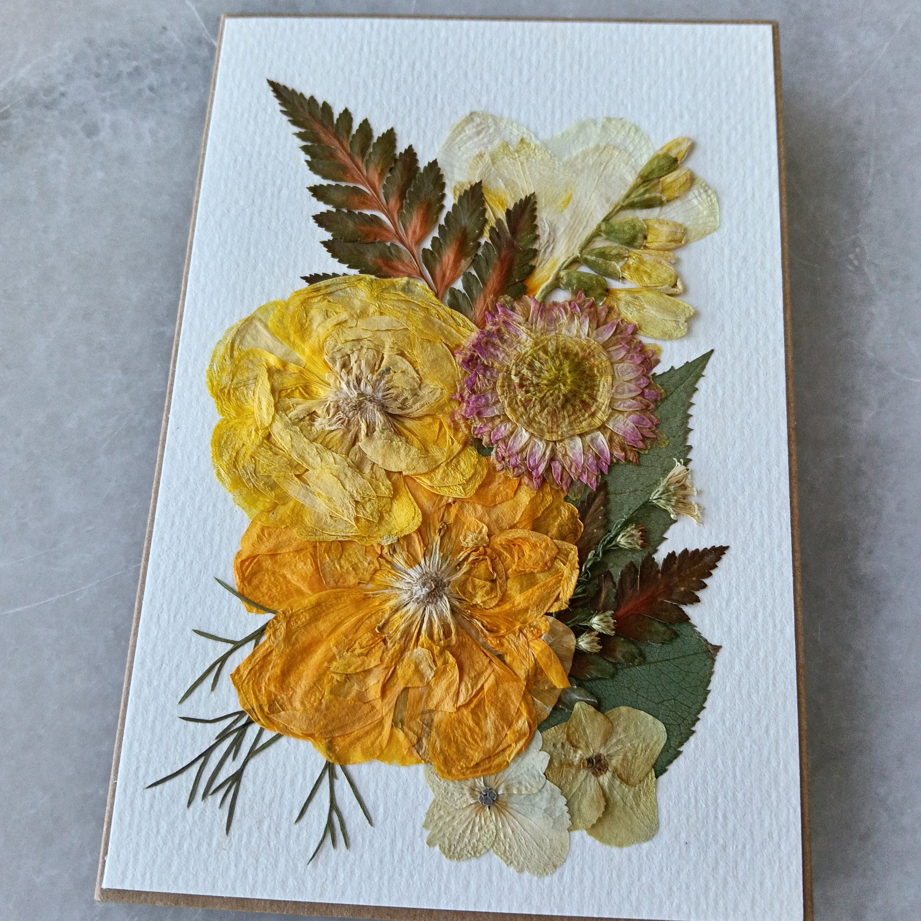 Radiant Ranunculus | Pressed Flower Handmade Card