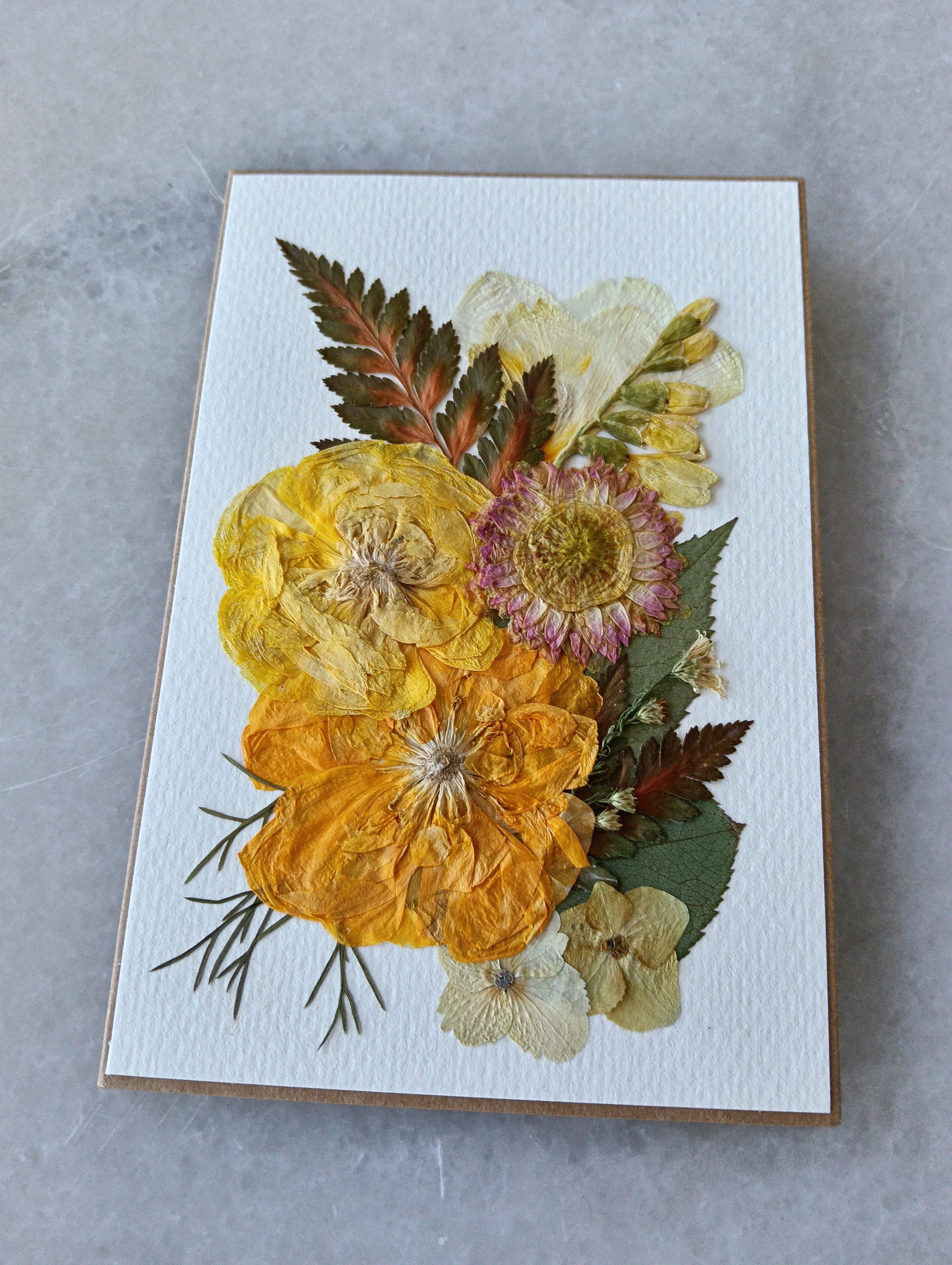 Radiant Ranunculus | Pressed Flower Handmade Card