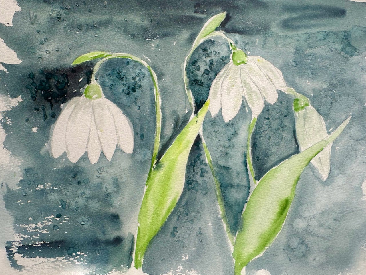 Watercolour Painting Workshop ~ Online ~ Live Event 28/5/26 7pm