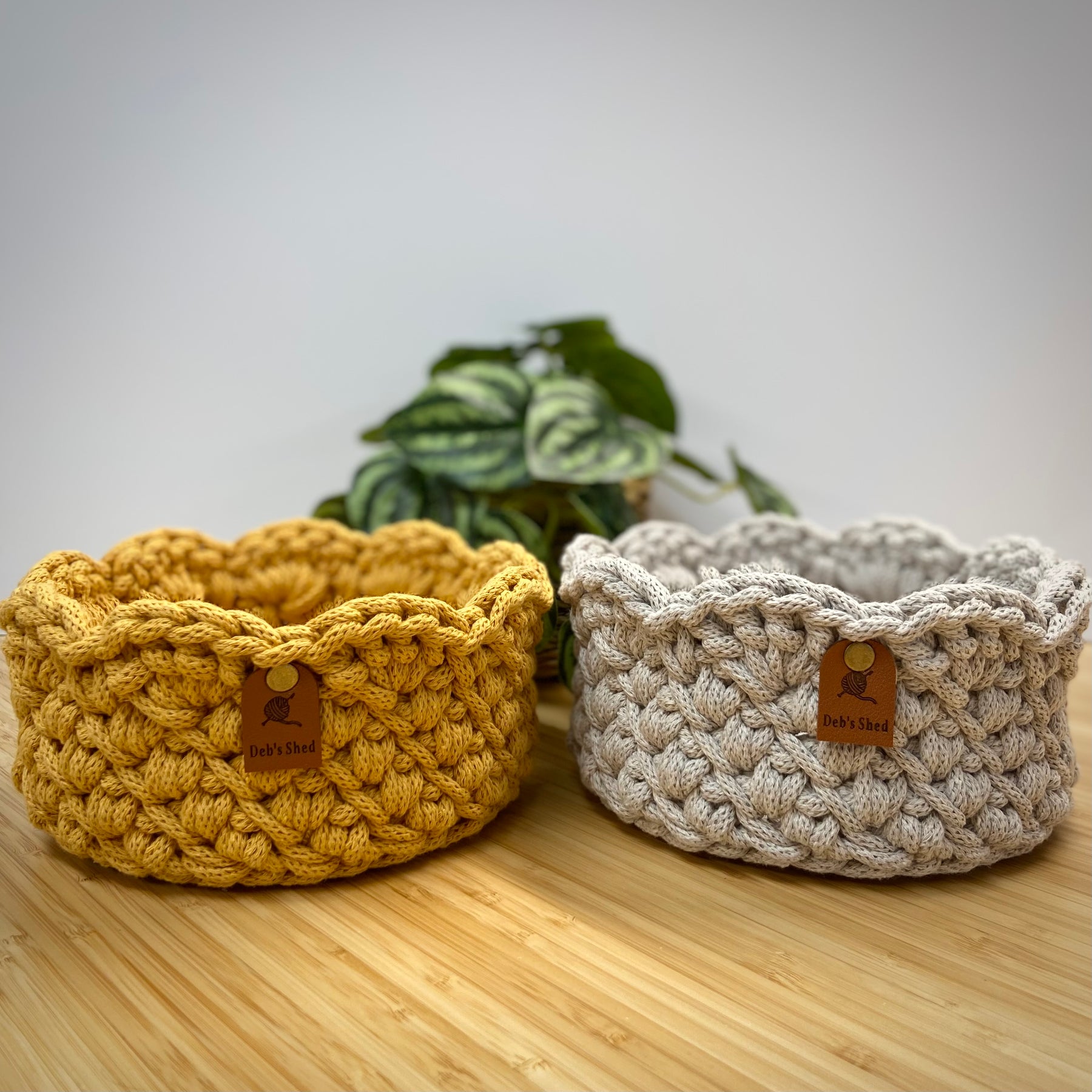 Crochet Basket with Scallop Edge