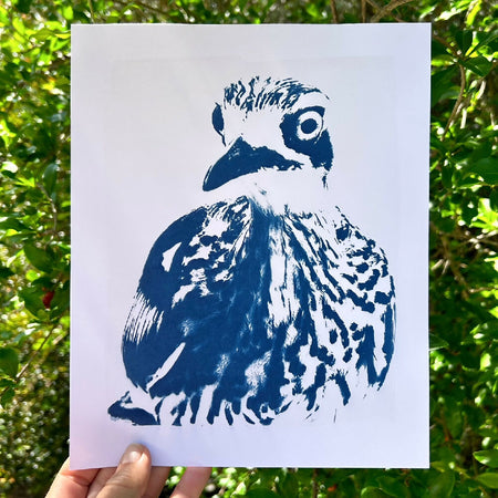 Bush Stone Curlew, Bird Art Print, Original Cyanotype, 8x10 inch