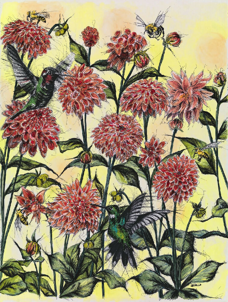 Renee Mitchell. Scratch Series. Pen and Acrylic on a1 paper. Dahlias and Honeyeasters