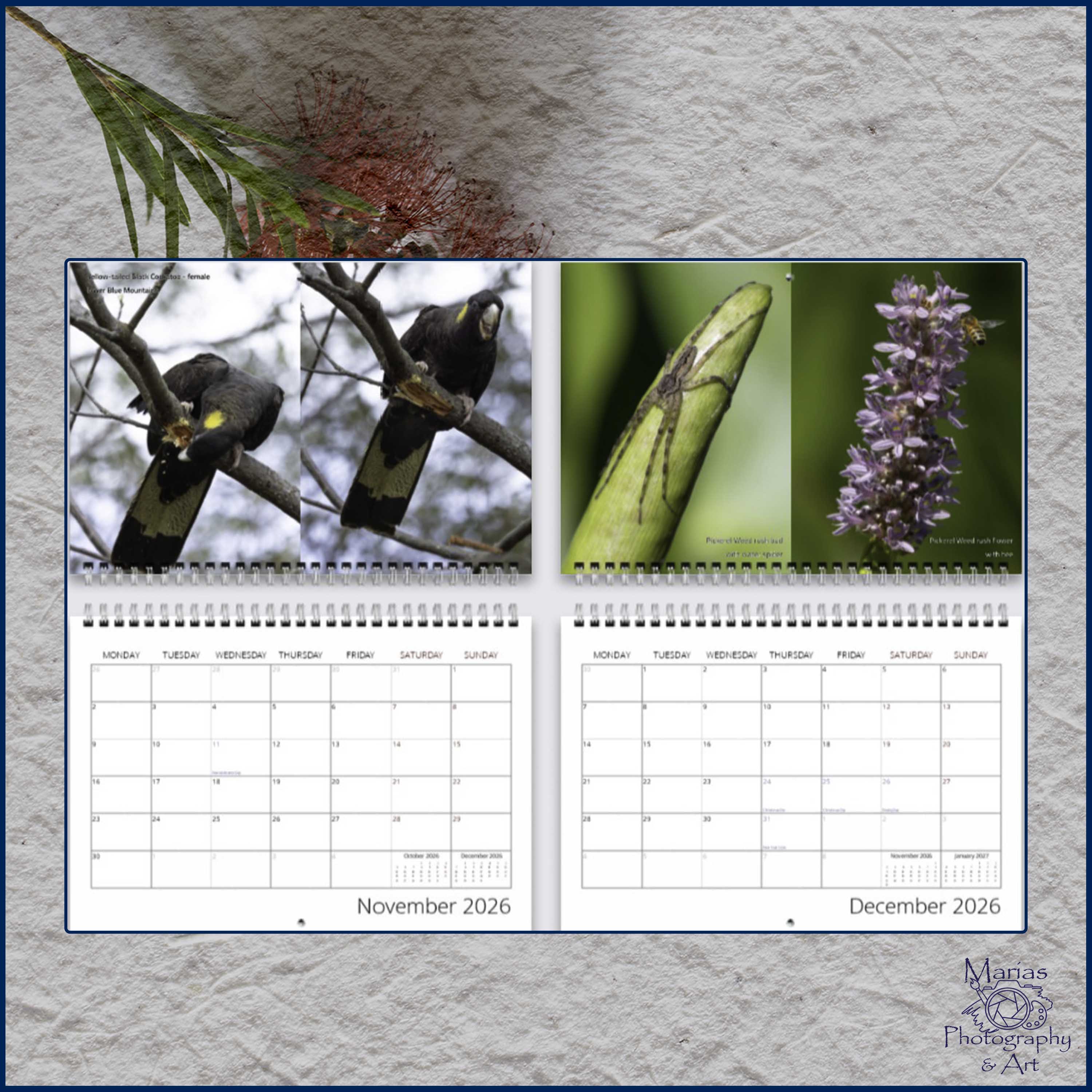 Unique Australia 2026 - A4 photographic calendar