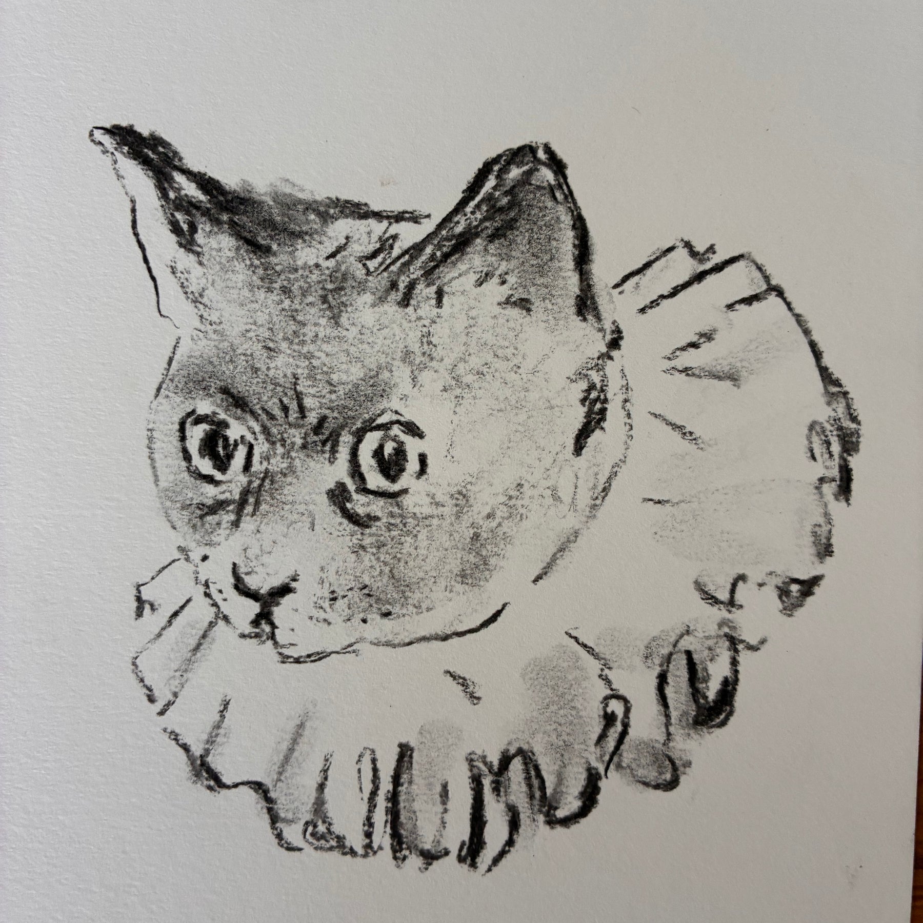 charcoal drawing of a clown cat