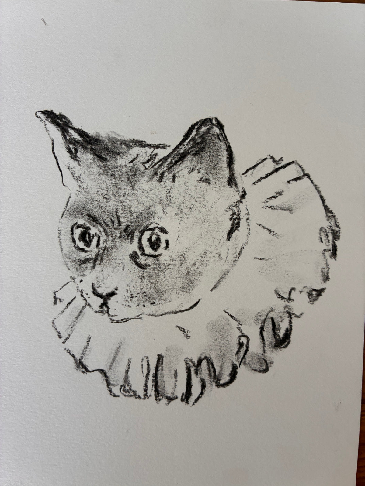 charcoal drawing of a clown cat