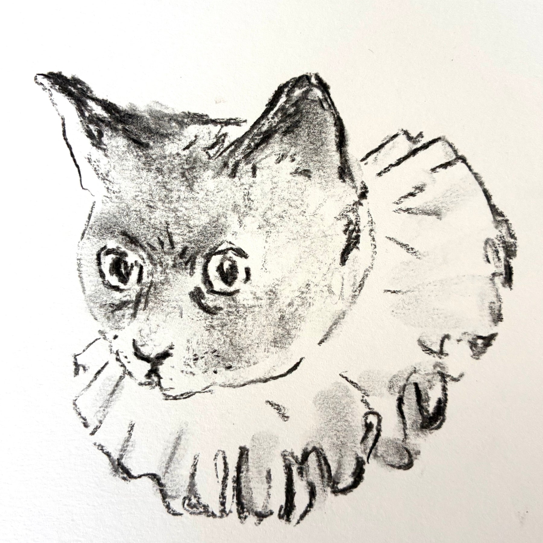 charcoal drawing of a clown cat
