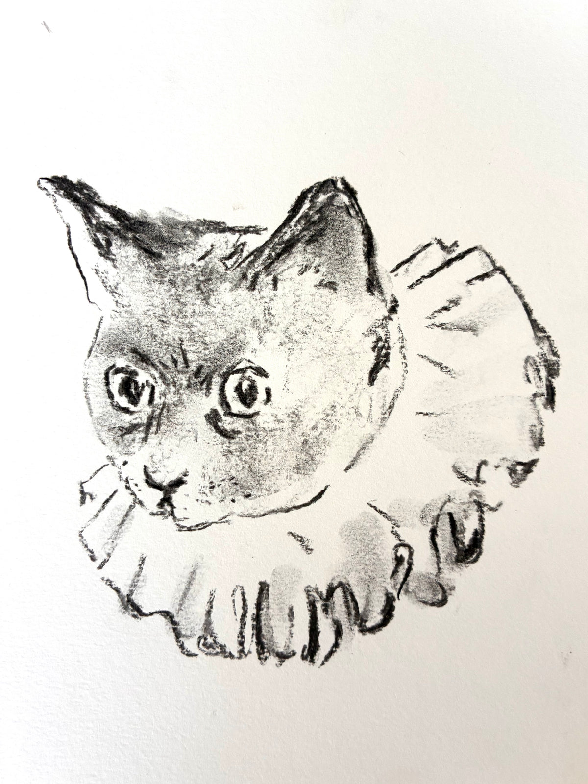 charcoal drawing of a clown cat
