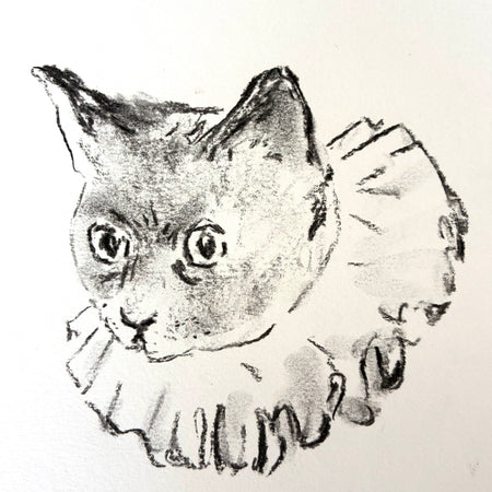 charcoal drawing of a clown cat