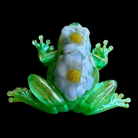 Daisy Frog