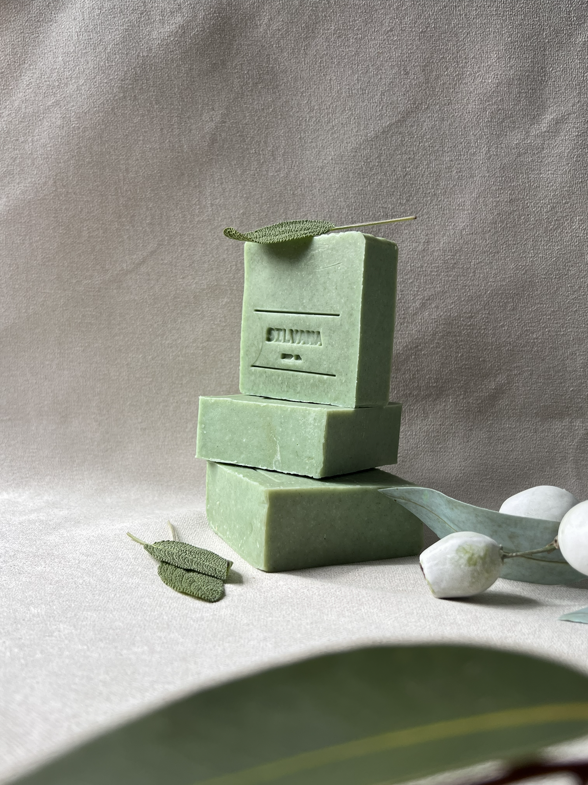 Botanical collection | Sage & wild mint