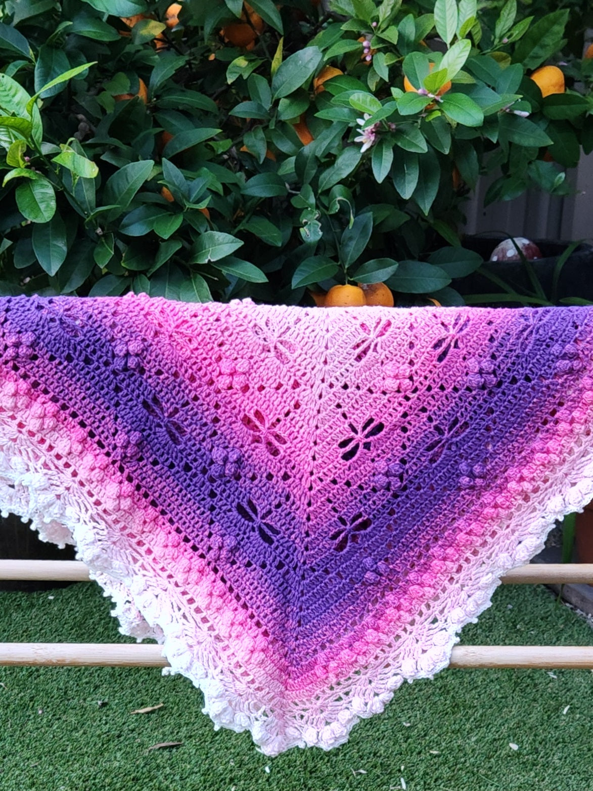 Crochet Pink Ombre Dragonfly Blanket